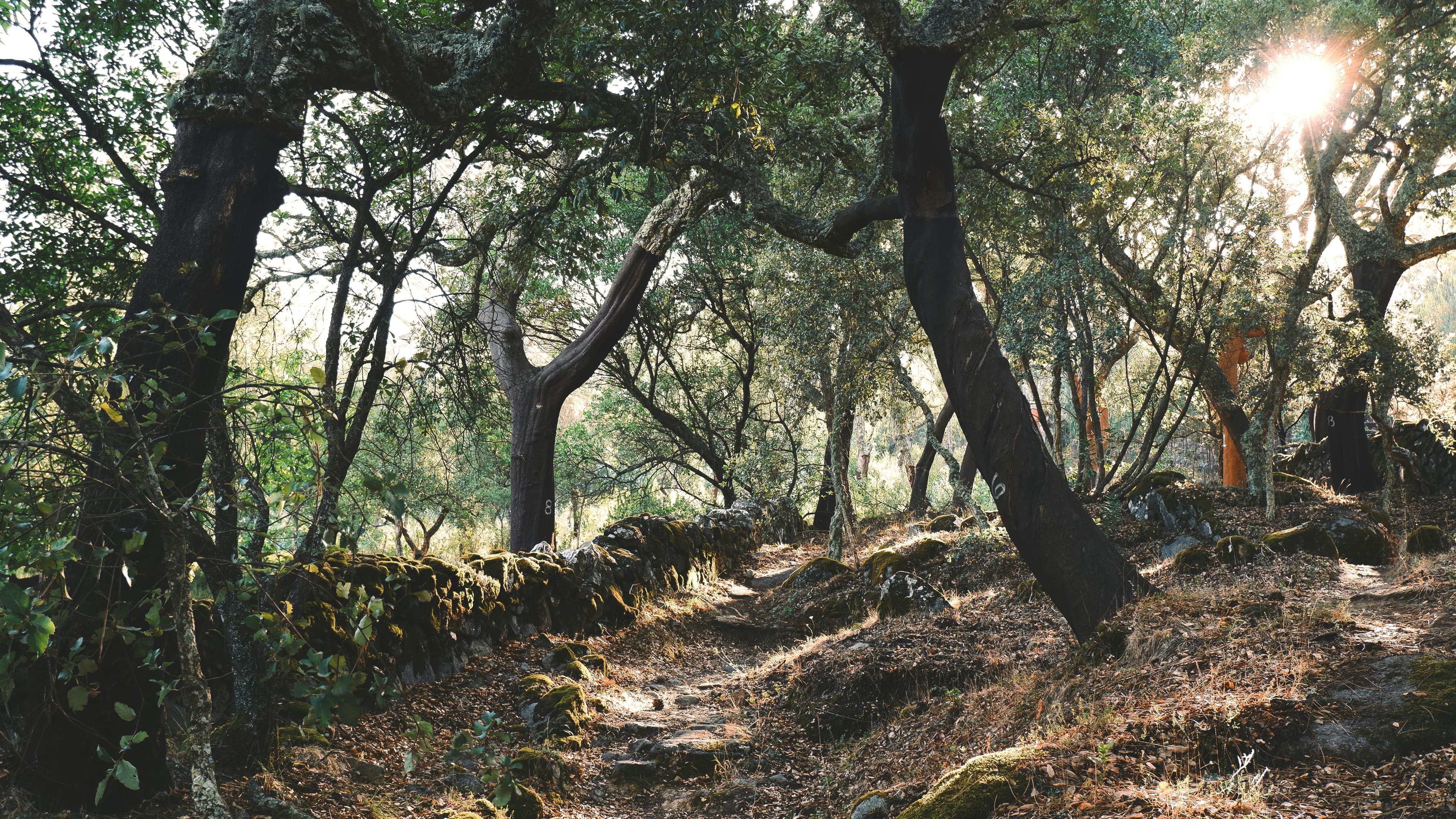 Photographer in the field at golden hour